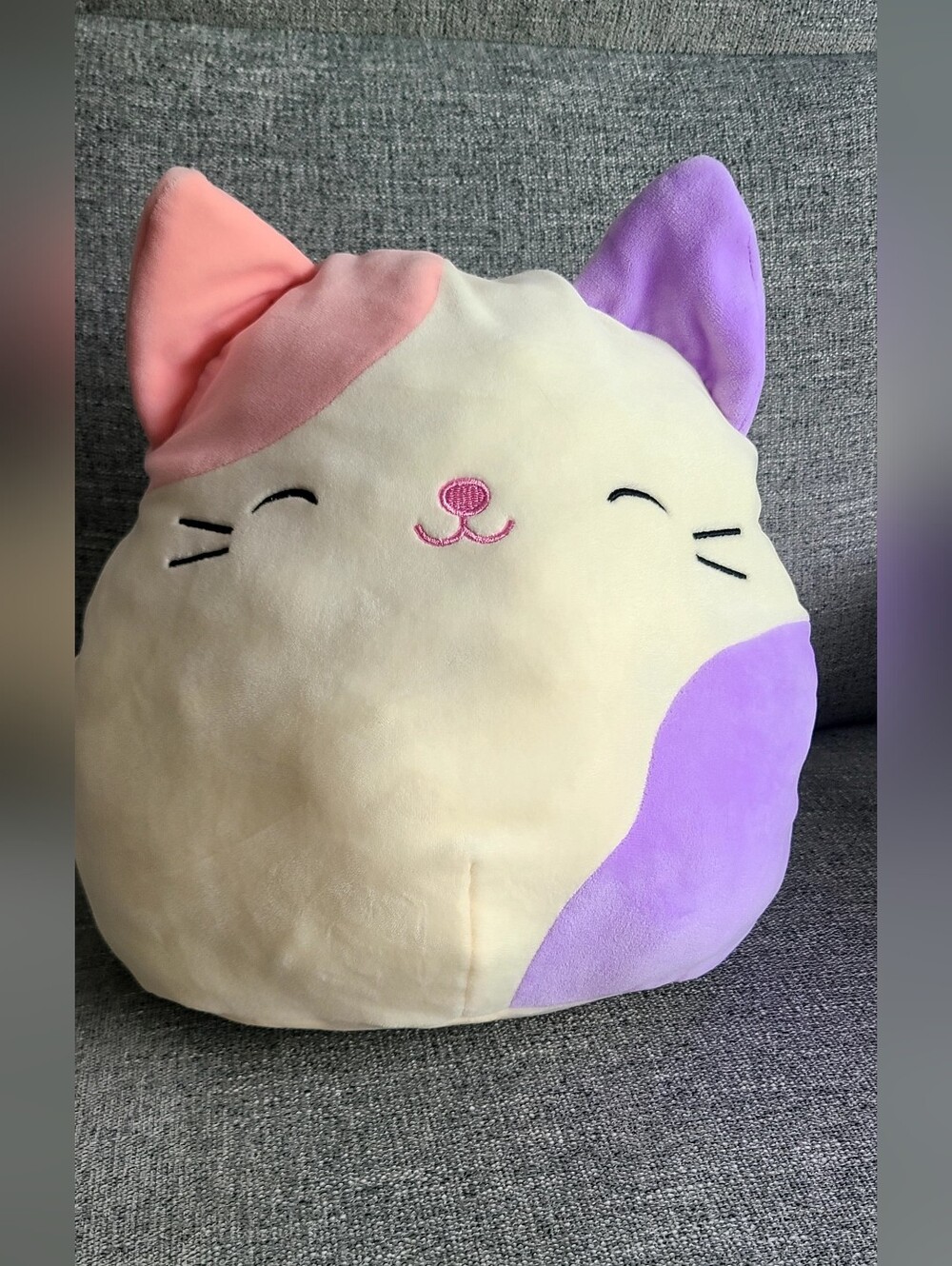 Squishmallows- Carlota The Cat, 12in